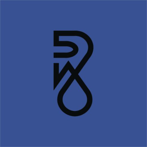 letter D R logo design cover image.