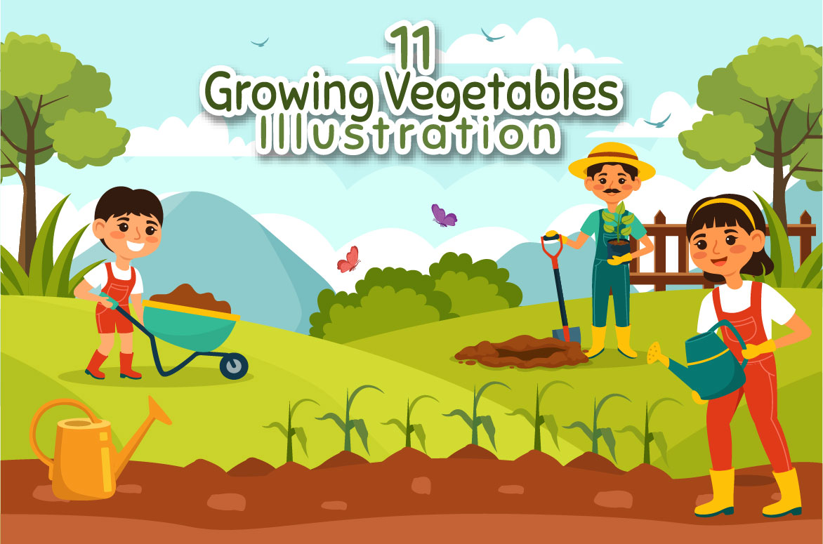 growing vegetable 01 541