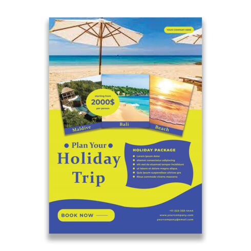 Holiday trips flyer design cover image.