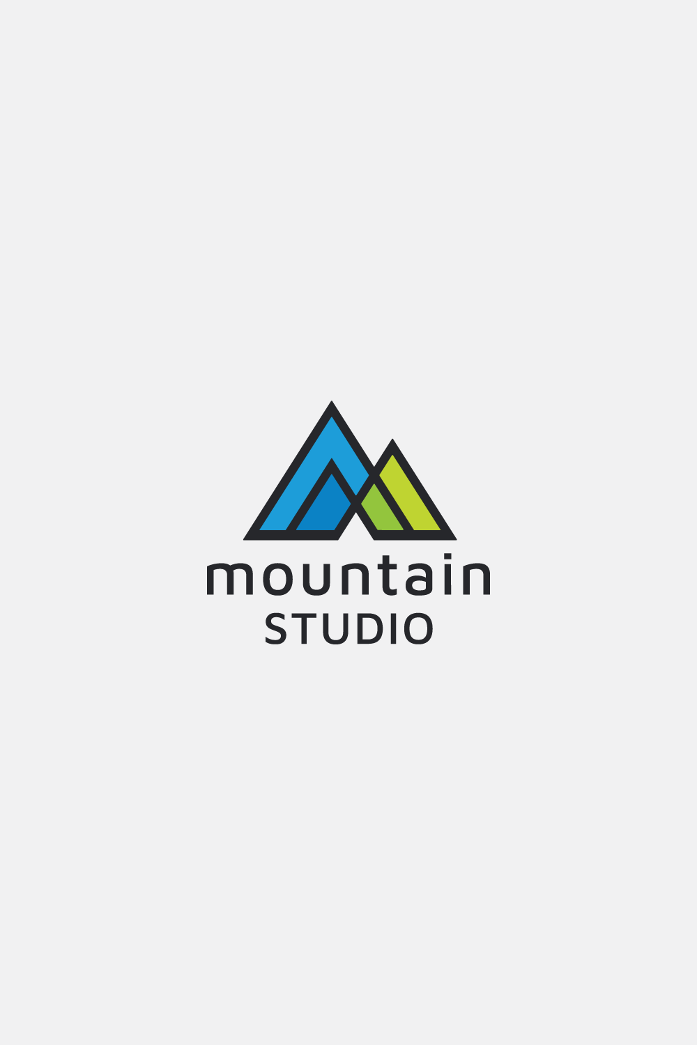 Mountain Studio Pro Branding Logo pinterest preview image.