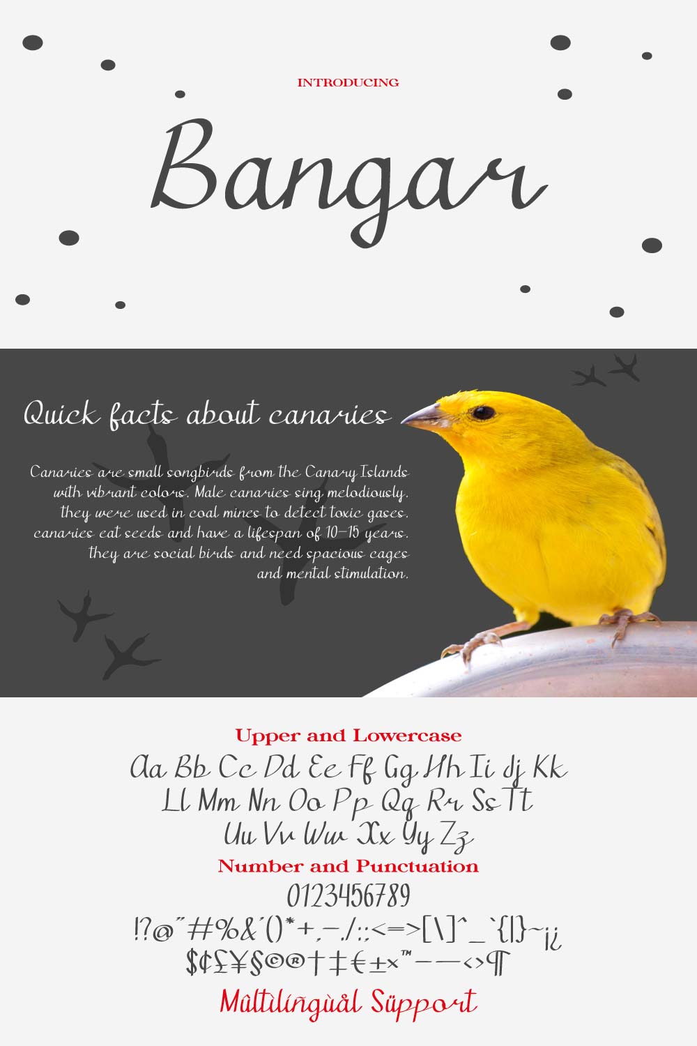Bangar | Handwritten Font pinterest preview image.