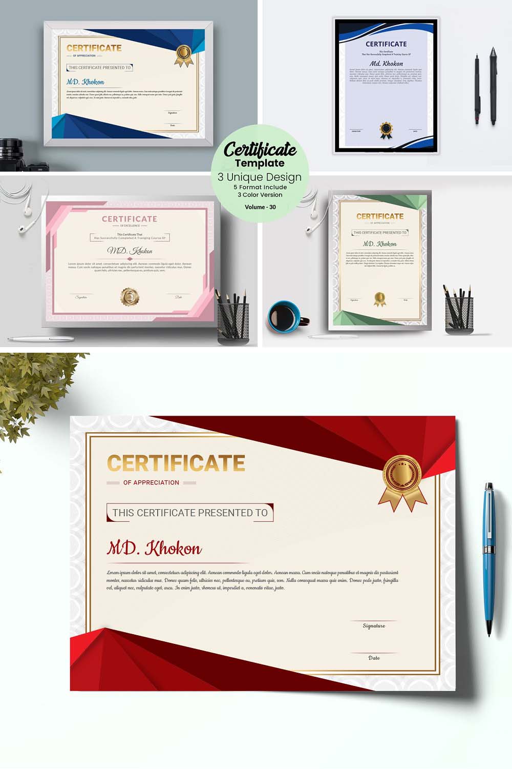 Professional Diploma Certificate V-30 pinterest preview image.