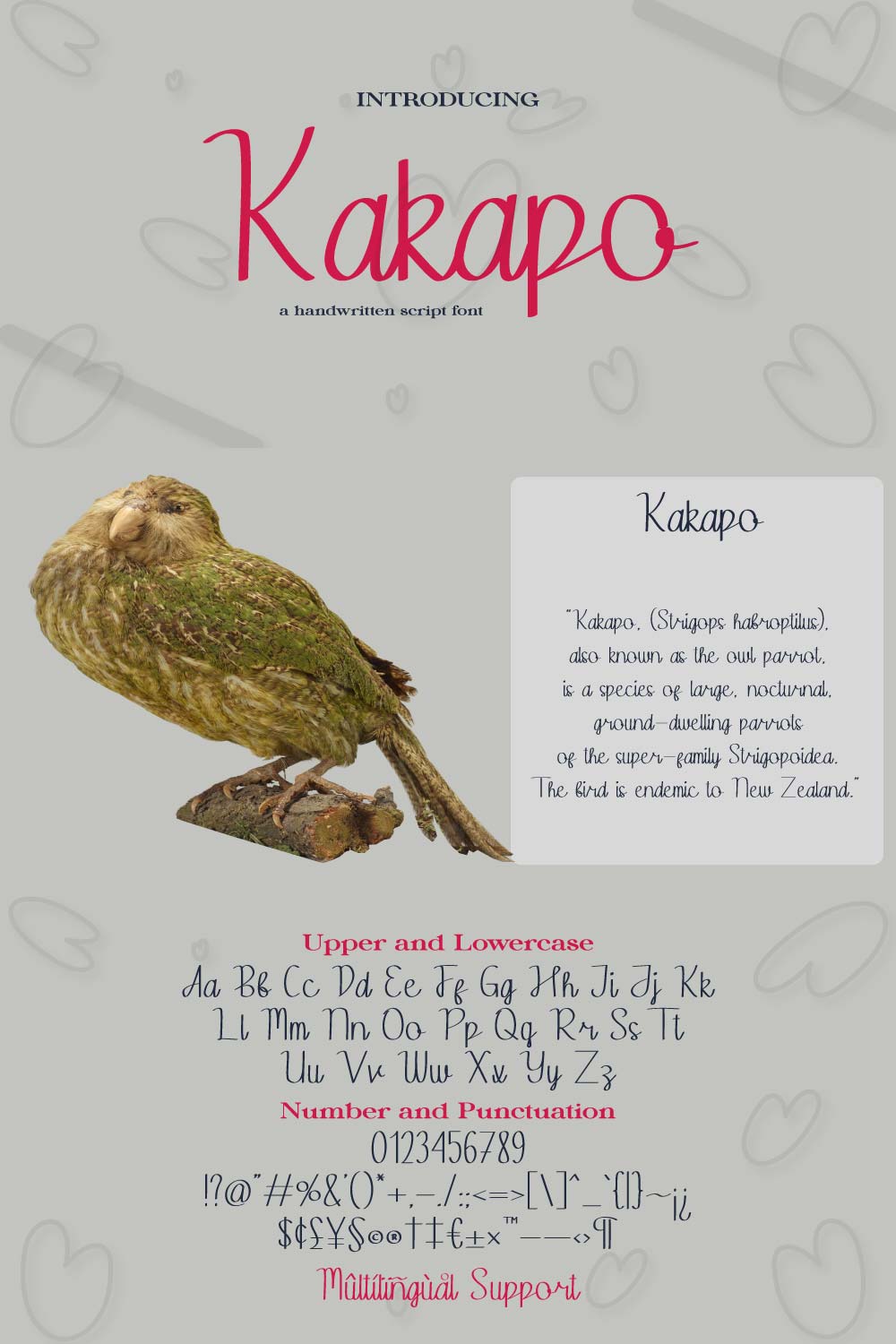 Kakapo | Handwritten Script Font pinterest preview image.