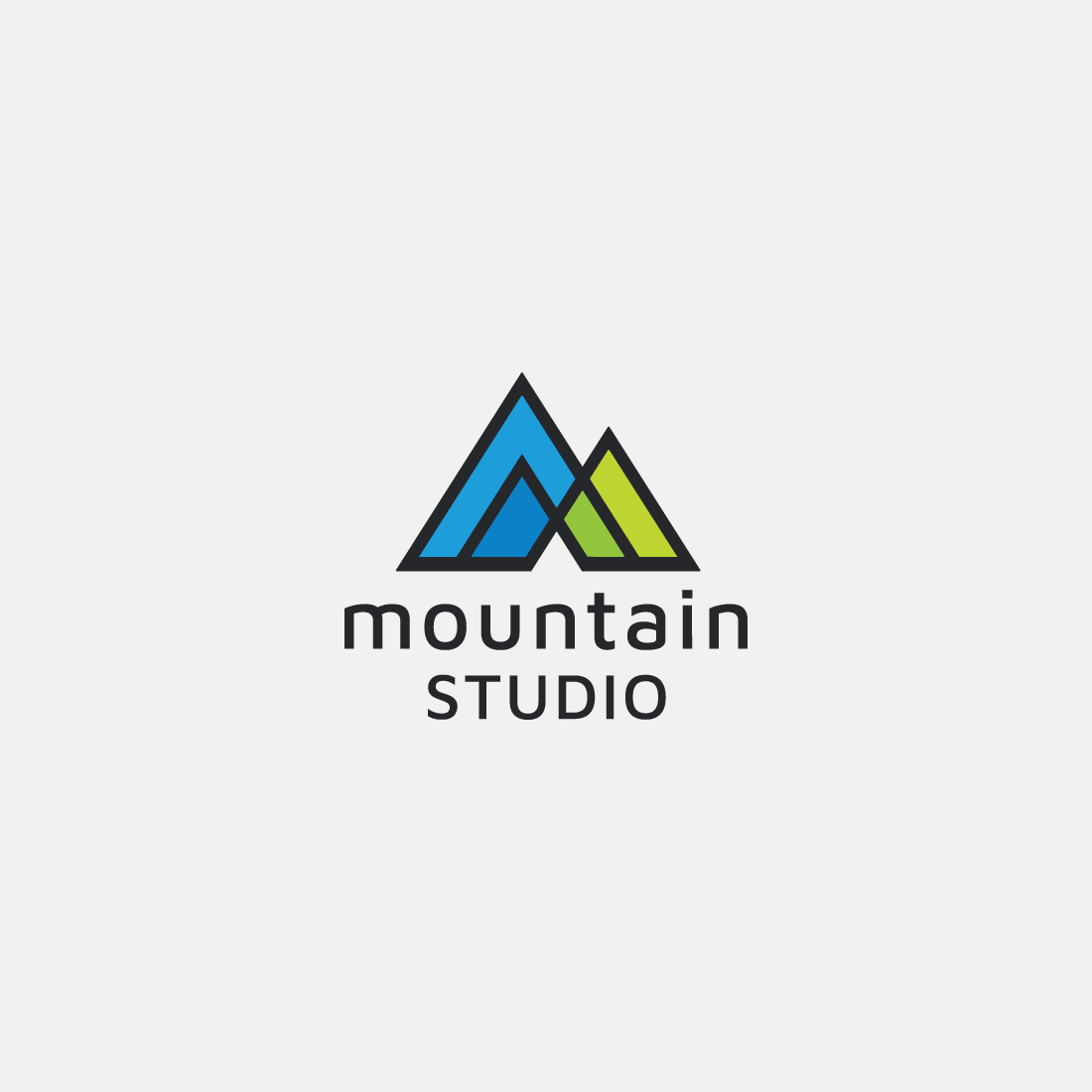 Mountain Studio Pro Branding Logo preview image.