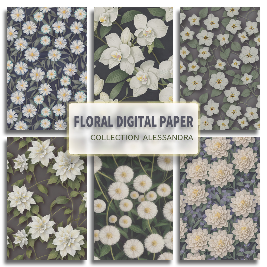 Alessandra: Seamless Floral Patterns cover image.