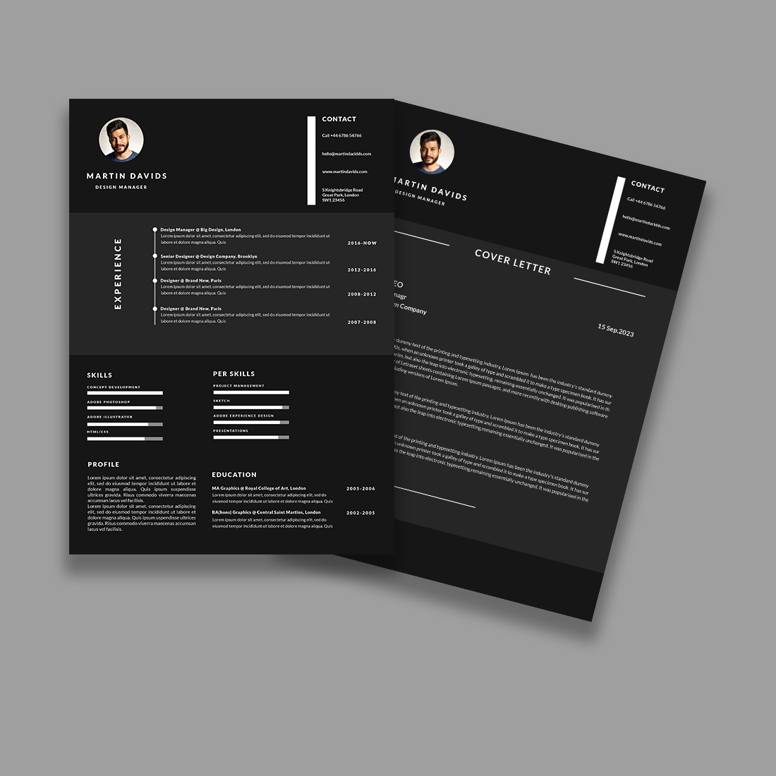 Professional resume/CV template preview image.