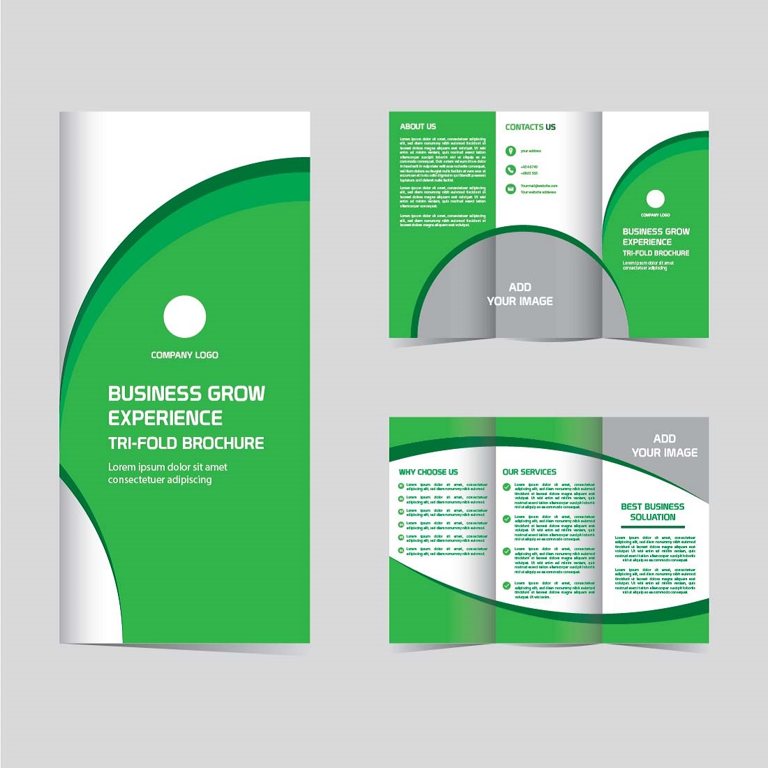 Vector grow business experience trifold brochure design editable and resizable cover image.