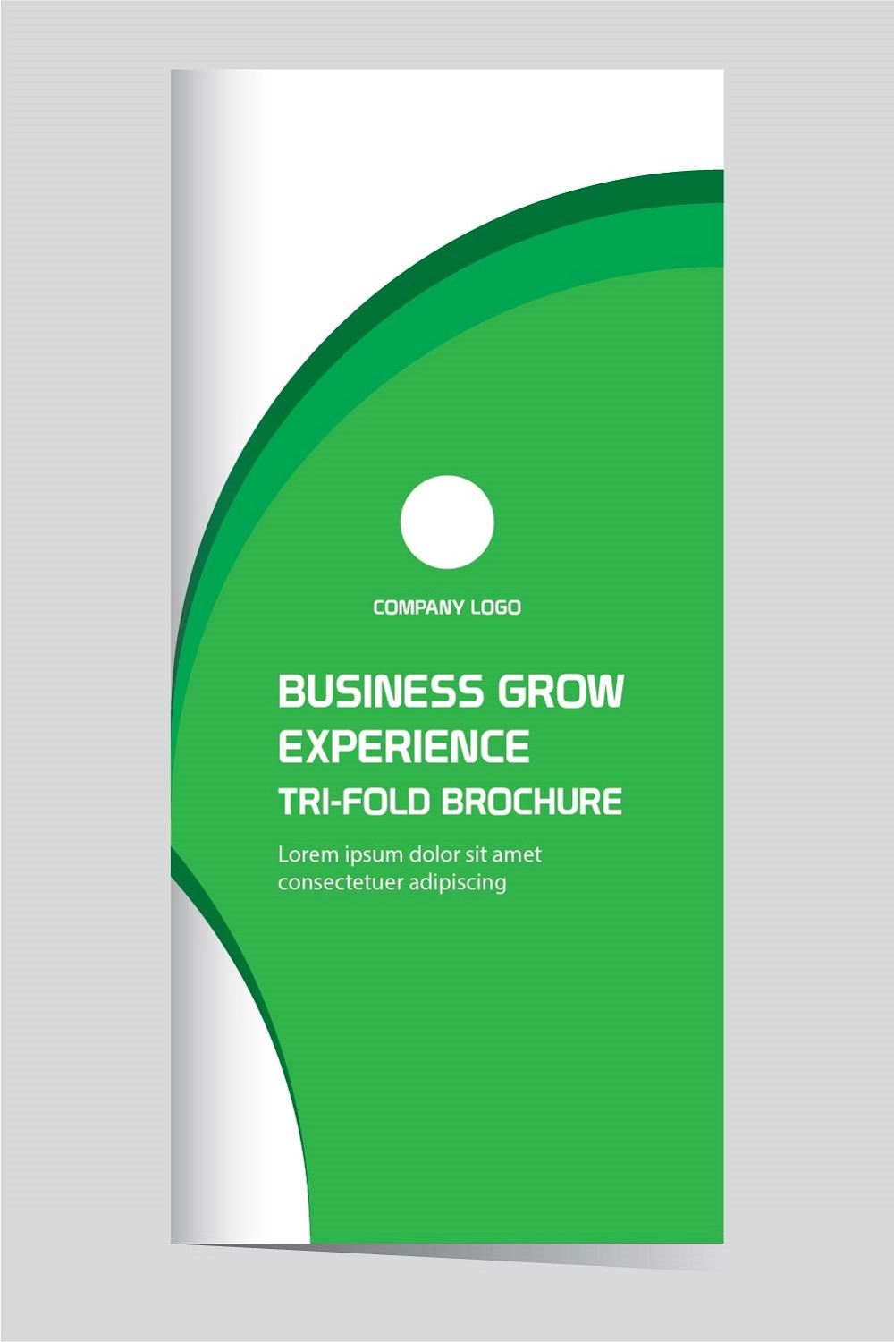 Vector grow business experience trifold brochure design editable and resizable pinterest preview image.