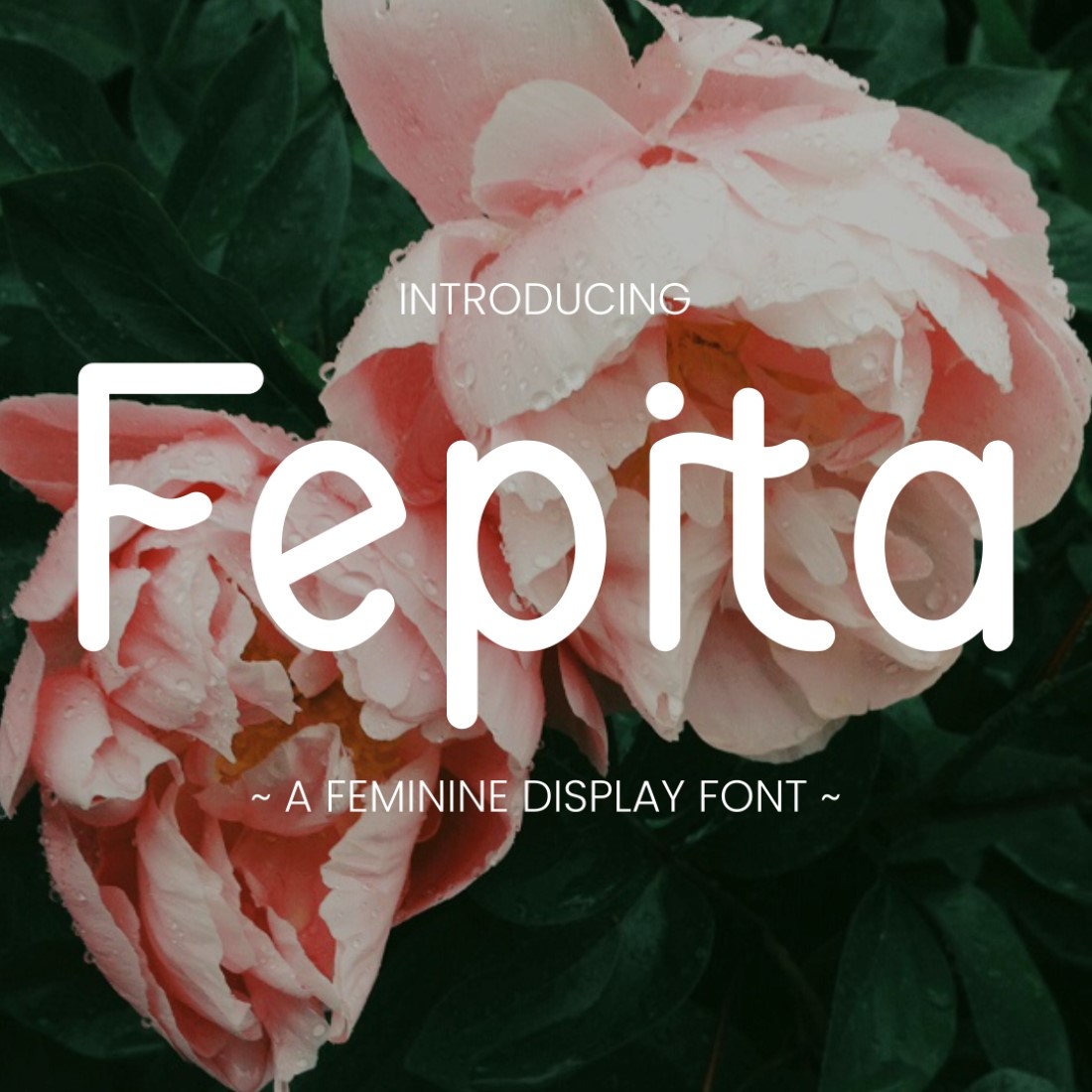 Fepita - Feminine Display Font preview image.