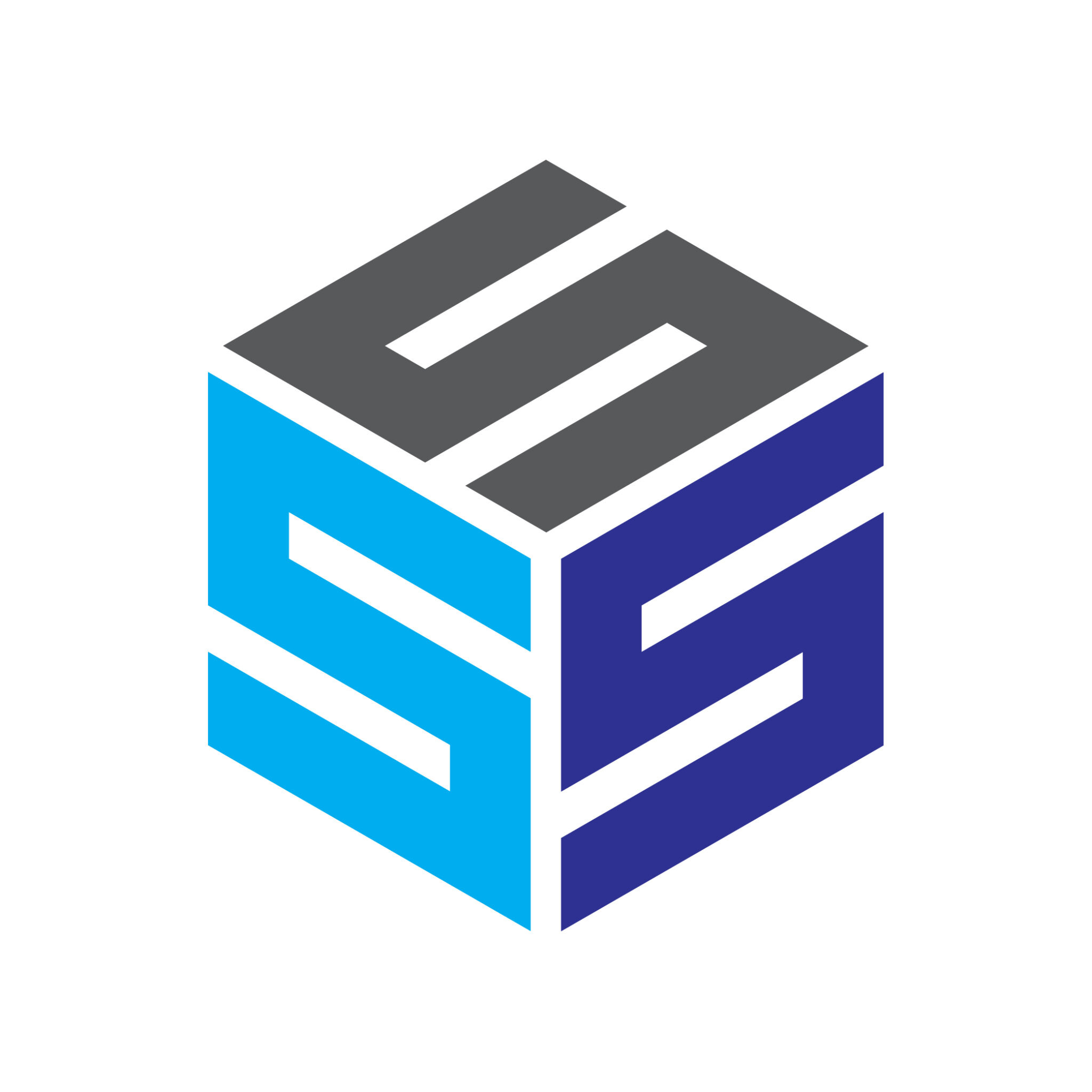 Letter SSS Logo Design Vector Image Template - MasterBundles