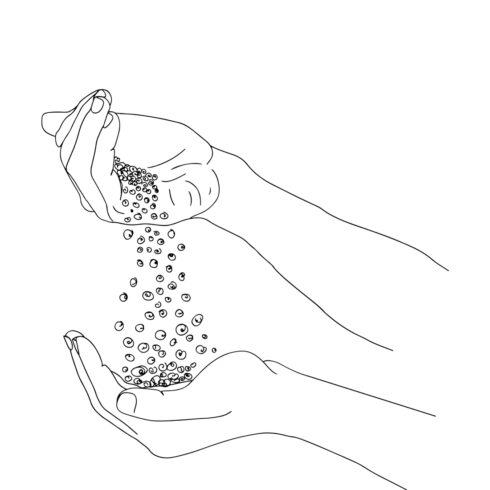Cartoon Hands with Wheat Grains, Harvest Season: Wheat Grains in Palms, Farm Fresh Wheat Grains Illustration, Simple Drawing: Wheat Seeds in Hands cover image.