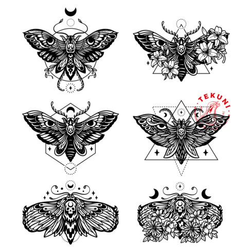 Set of Moth Illustration, Floral Butterfly Bundle - Instant Download cover image.