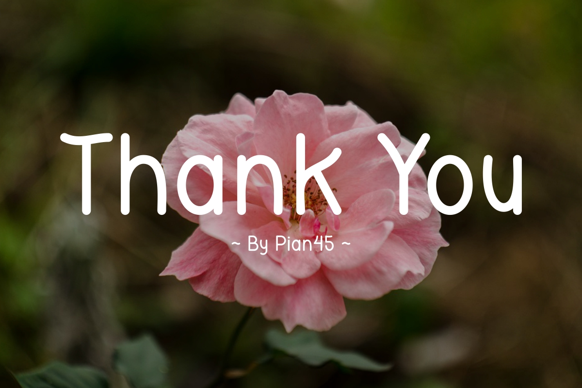 11 say thanks fepita font preview 824