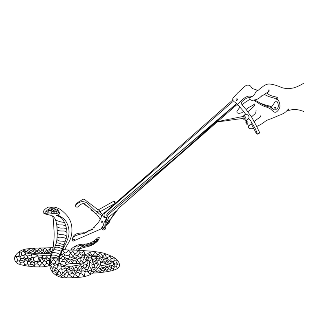 Cartoon Illustration: Continuous Sketch Snake Catcher Tools, Reptile Handling Tools : Cartoon Snake Catcher Illustration, Snake Catcher Equipment: Pliers, Tongs, Stick Cartoon Drawing cover image.
