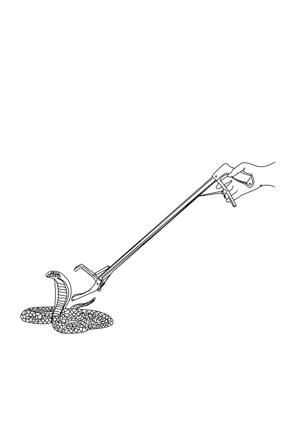 Cartoon Illustration: Continuous Sketch Snake Catcher Tools, Reptile Handling Tools : Cartoon Snake Catcher Illustration, Snake Catcher Equipment: Pliers, Tongs, Stick Cartoon Drawing pinterest preview image.