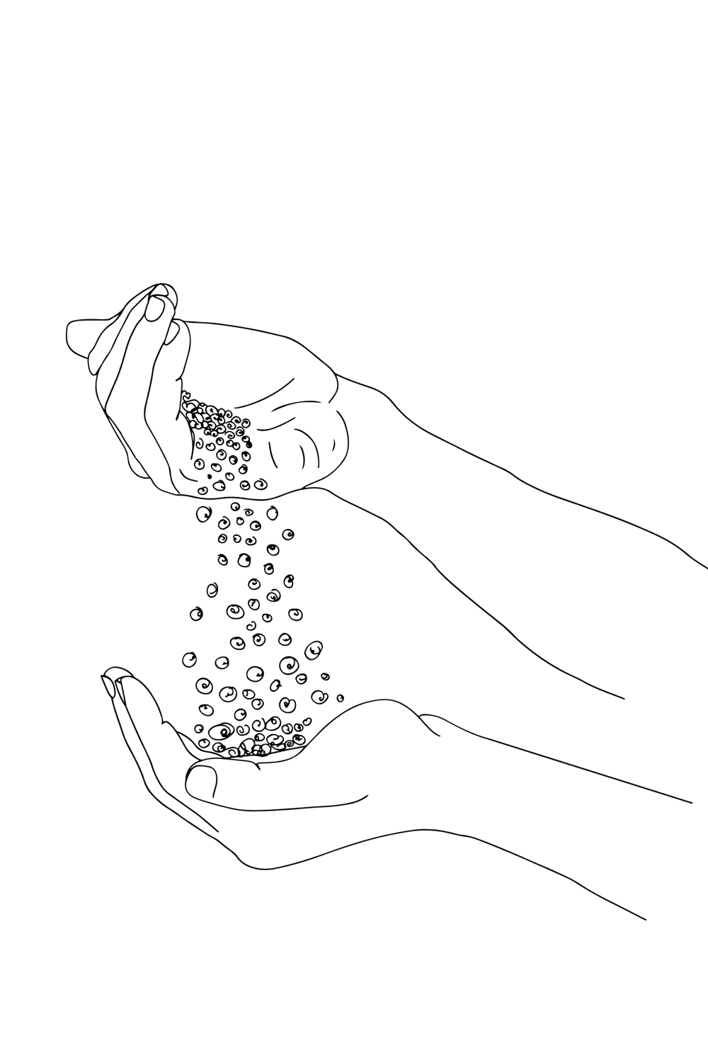 Cartoon Hands with Wheat Grains, Harvest Season: Wheat Grains in Palms, Farm Fresh Wheat Grains Illustration, Simple Drawing: Wheat Seeds in Hands pinterest preview image.