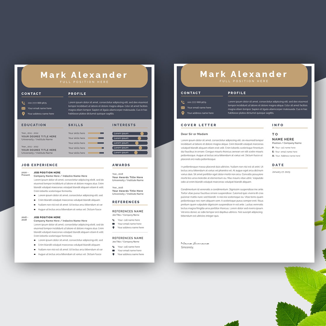 Modern Cv and Professional Resume Design Layout preview image.