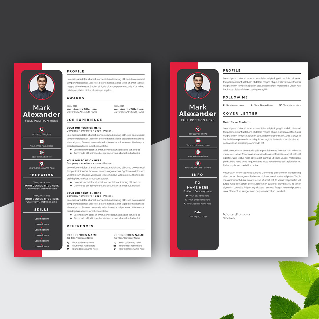 Colorful Job CV Template Design Resume Layout preview image.