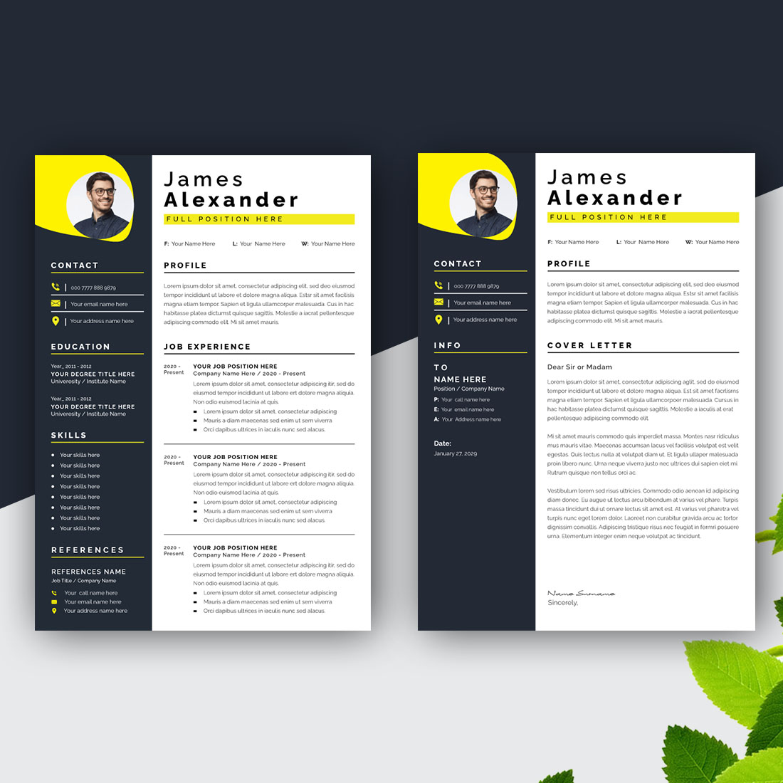 Resume Design Template with Yoello Color preview image.