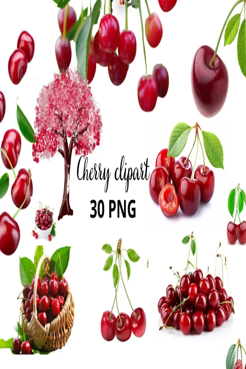 Cherry clipart, Kersen Clipart Bundel - 30 Fruit PNG Afbeeldingen, Cherry blossom clipart, Cherry transparent background, Red cherry pinterest preview image.