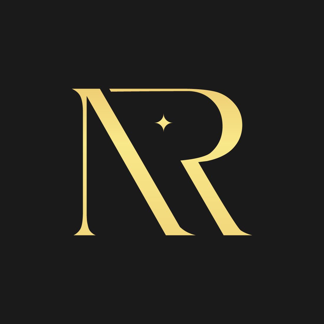 NR luxury logo design preview image.