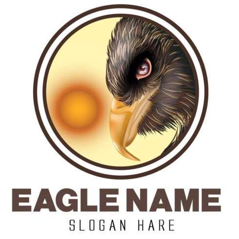 eagle logo with sun set background cover image.