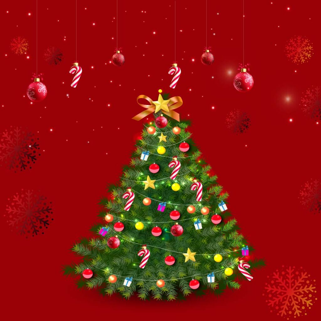 Christmas, Christmas Festival, Christmas Theme, Santa Cluse, Red ...