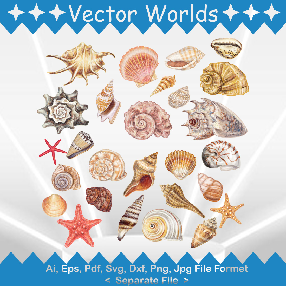 Seashell SVG Vector Design preview image.