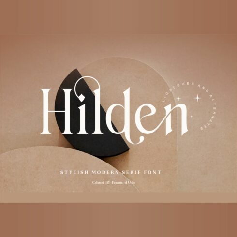 Hilden - stylish modern serif font cover image.