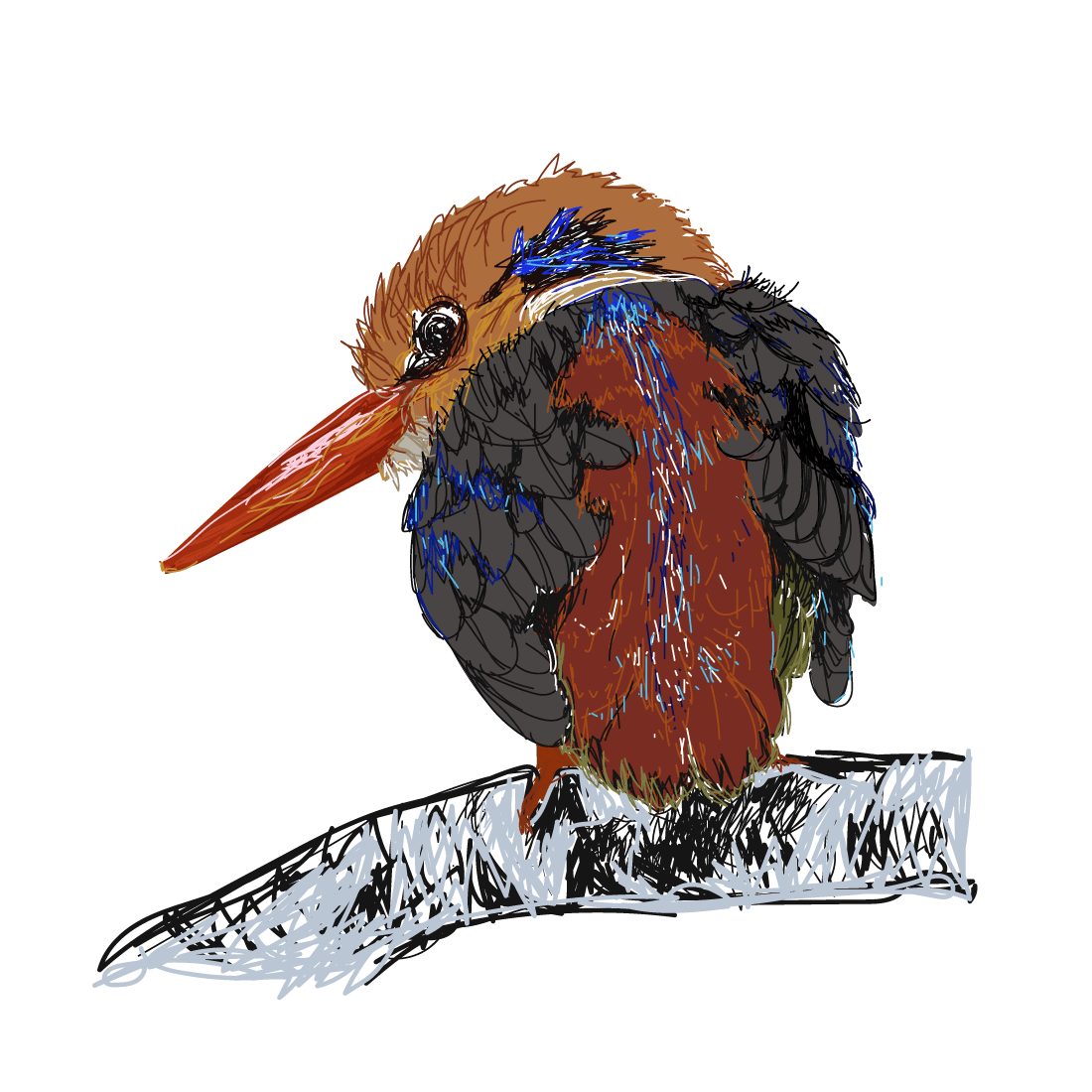 Coloring pages, mandala, bird image (white-throated kingfisher), white  background, black and white on Craiyon
