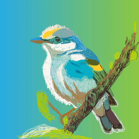 Beautiful Natural birds Vector Design  cover image.