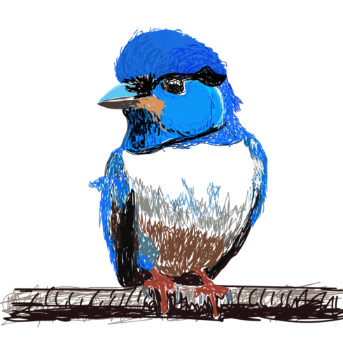 Blue Beautiful Natural birds Vector Design  cover image.