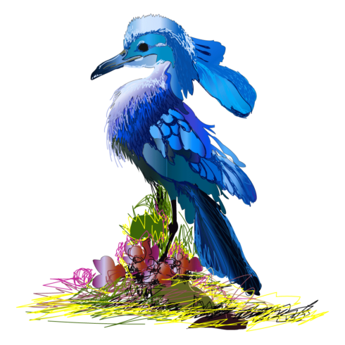 Blue jay Beautiful Natural birds Vector Design  cover image.