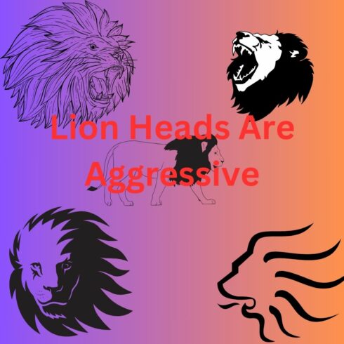lion heads are aggressive cover image.