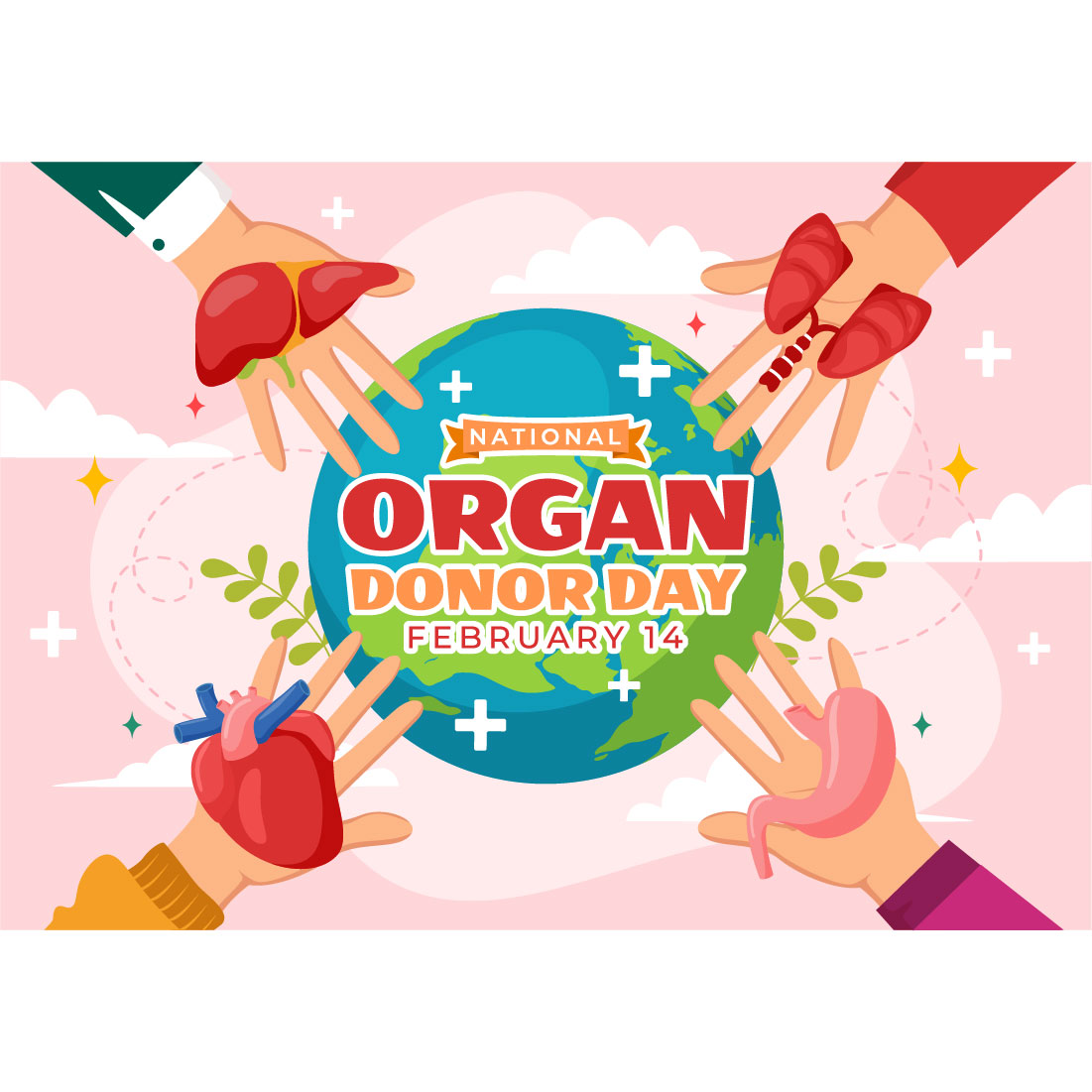 12 National Organ Donor Day Illustration cover image.