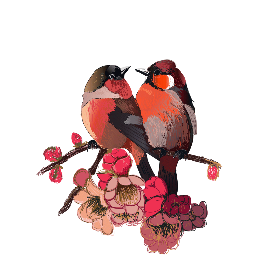 Colorful birds Vector Design . - MasterBundles
