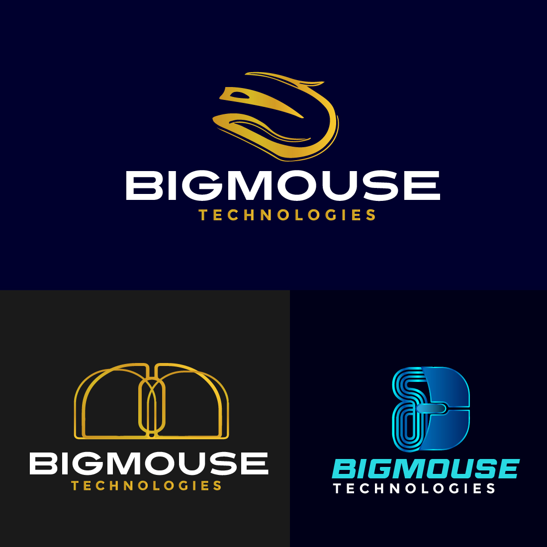 3 Unique Concepts of BigMouse Technologies Logo Design cover image.