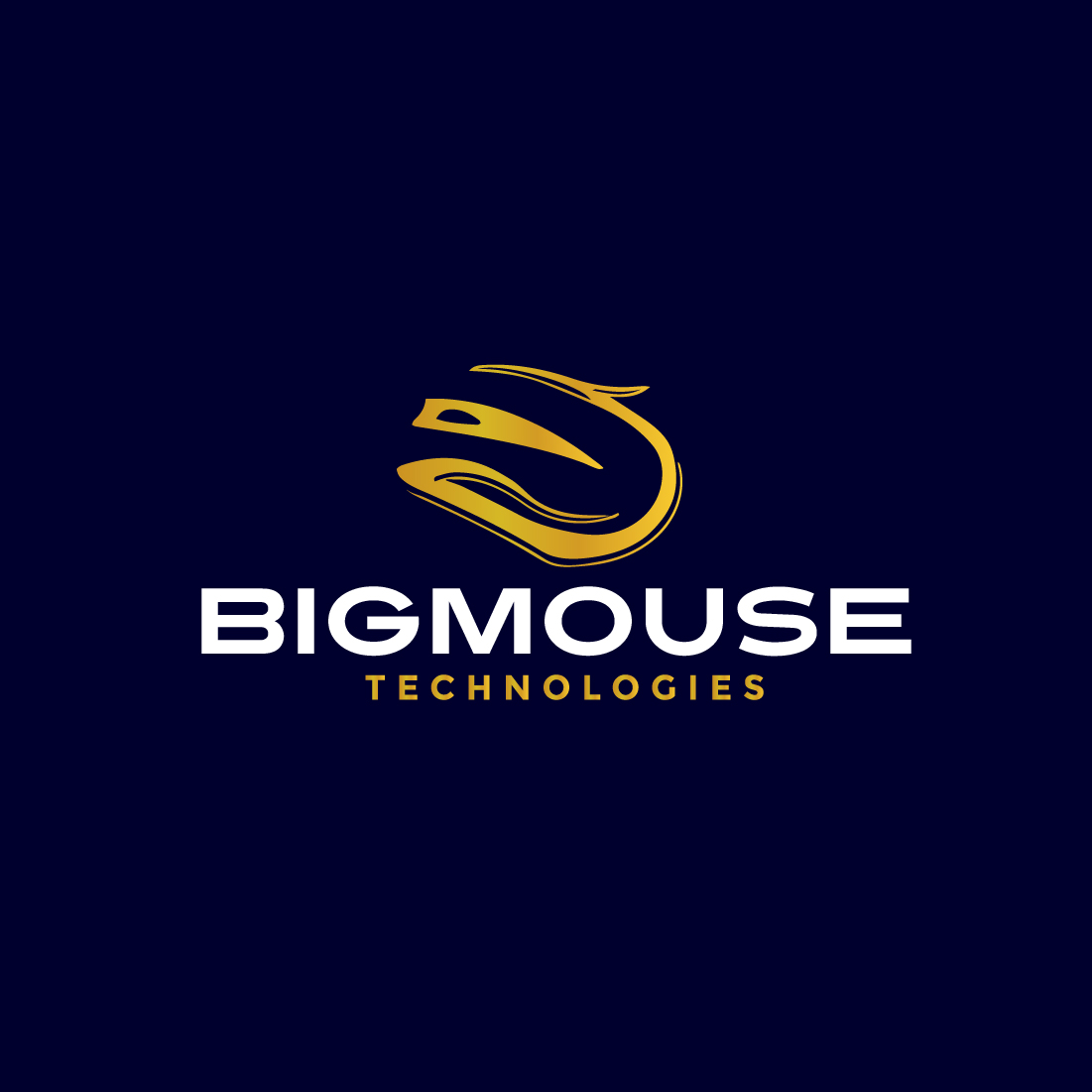 3 Unique Concepts of BigMouse Technologies Logo Design preview image.