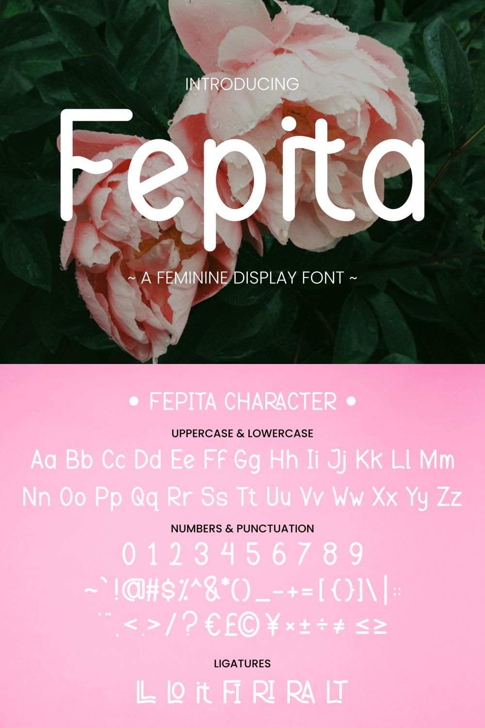 Fepita - Feminine Display Font pinterest preview image.