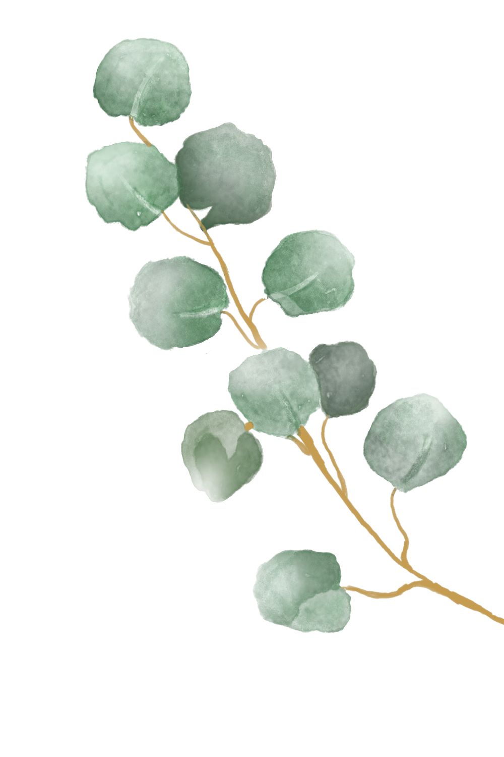 Watercolor Eucalyptus Clipart pinterest preview image.