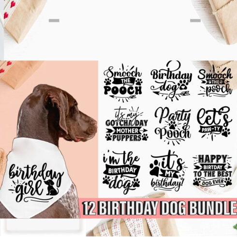 Birthday Dog Bandana SVG cover image.