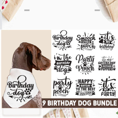Birthday Dog Bandana SVG, Dog Bandana SVG, Birthday Dog svg cover image.