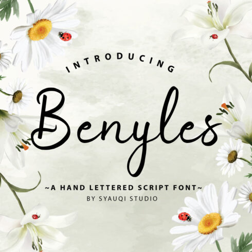 Benyles, A Hand Lettered Script Font cover image.
