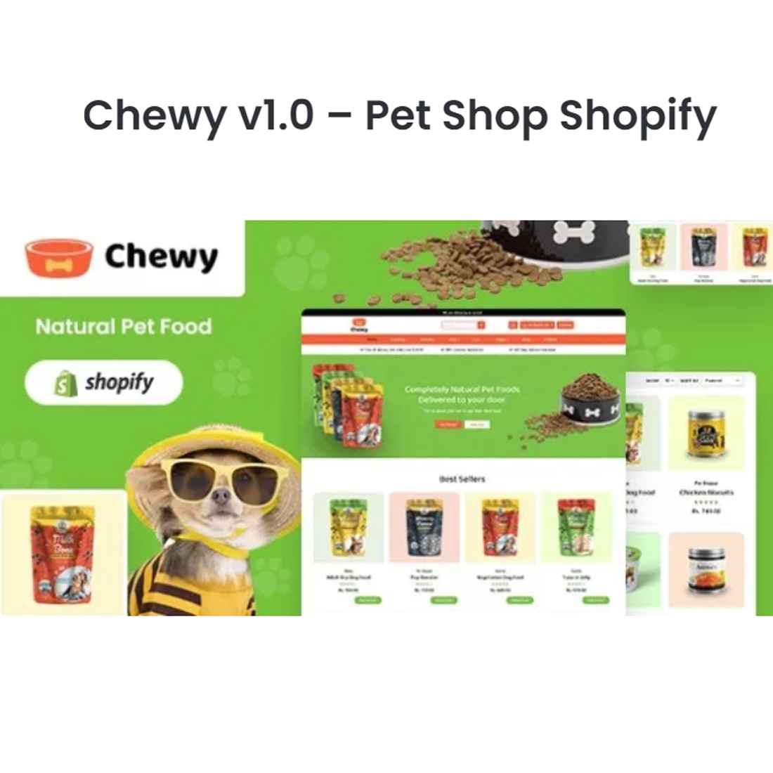 Pet Shop Shopify 20 - Chewy v10 preview image.