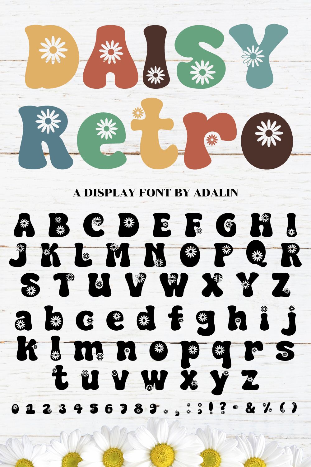 Daisy Retro Font - display font pinterest preview image.