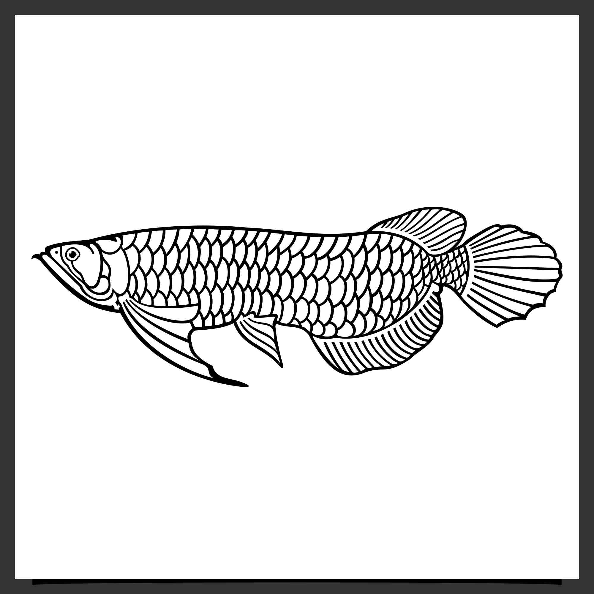 Set Arowana fish vector silhouette design - $4 preview image.