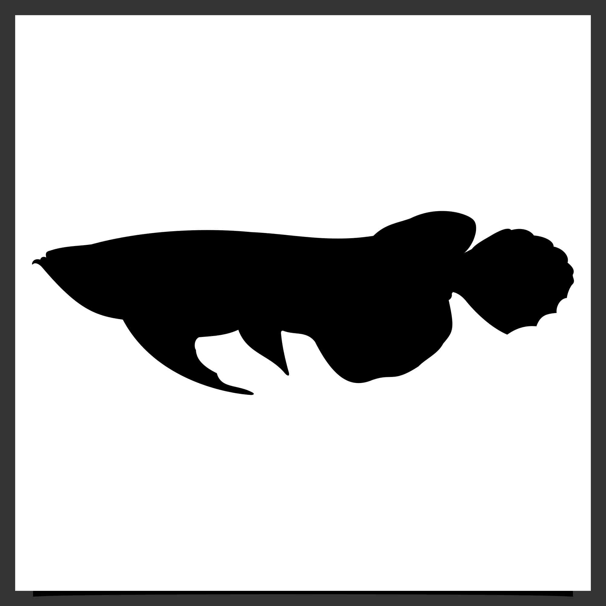 arowana fish vector silhouette design 3 476