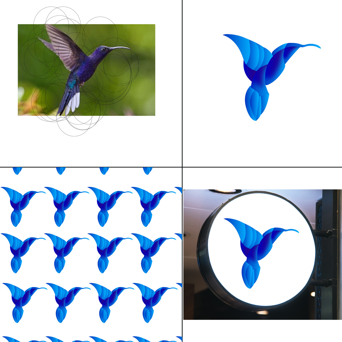 Bird logo design with gradient blue color preview image.