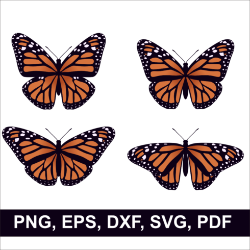 Butterfly SVG Design cover image.