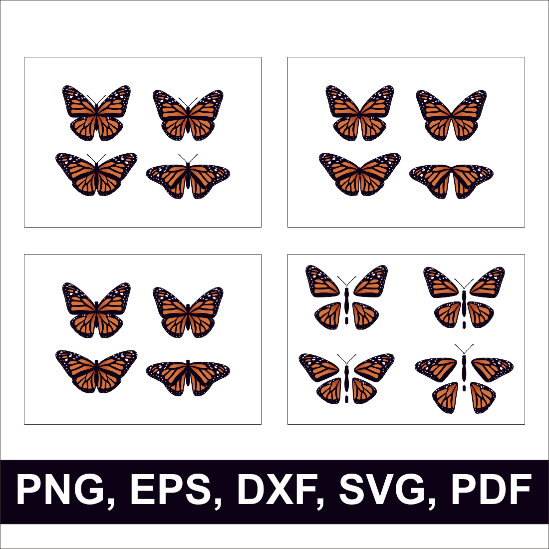 Butterfly SVG Design preview image.